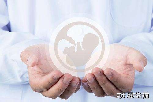 天津什么医院做试管婴儿？试管婴儿是怎么孕育