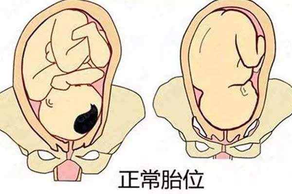 暹罗苏医生直播专题之影响胚胎着床的子宫环境！