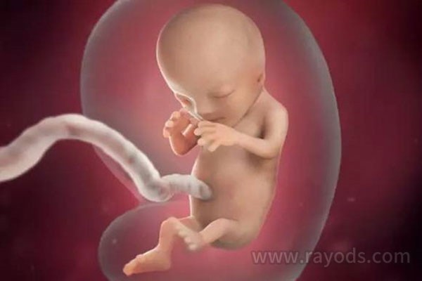 输卵管堵塞在天津第九人民医院做试管婴儿能成功吗？