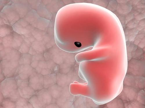 单角子宫是否影响胎儿的发育？