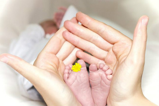 天津试管婴儿流程_在天津做试管婴儿，LW怀孕的费用大概是多少？