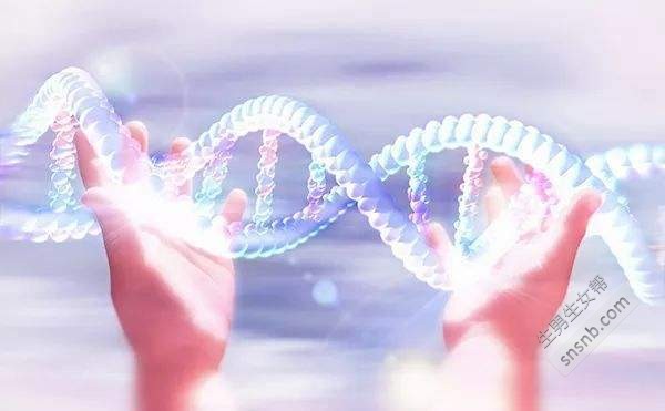 人工授精的DNA测序有什么好处？人工授精 DNA测序原理 科学