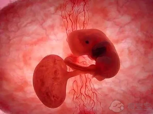 在天津，第二个宝宝要用多少个胚胎？哪些人适合做2个胚胎？