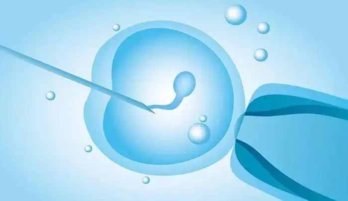 许昌捐卵女孩：妇女在什么情况下可以接受用于试管婴儿的捐赠卵子？